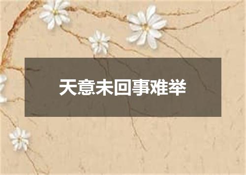 天意未回事难举
