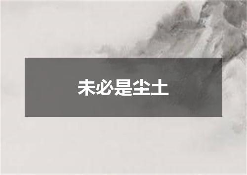 未必是尘土