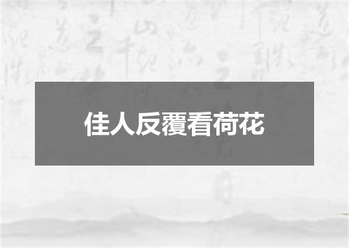 佳人反覆看荷花