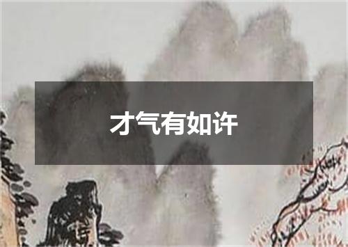 才气有如许