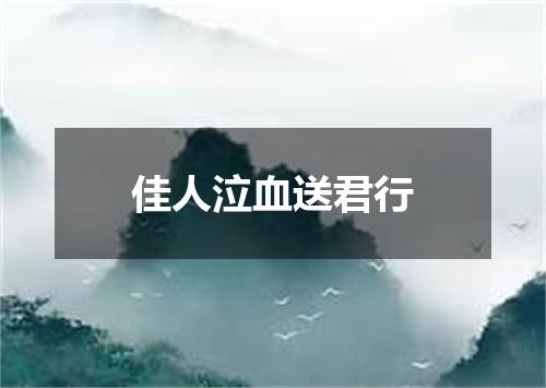 佳人泣血送君行