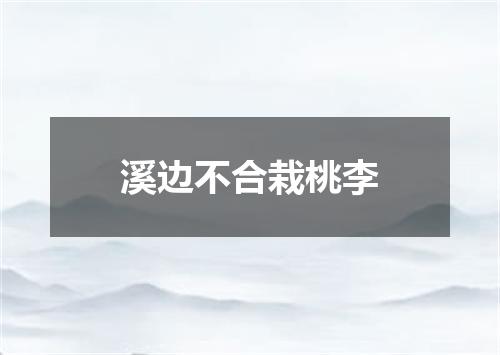 溪边不合栽桃李
