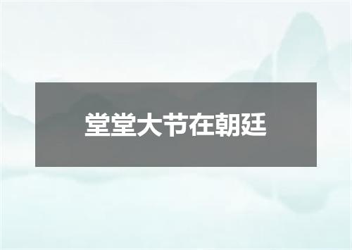 堂堂大节在朝廷
