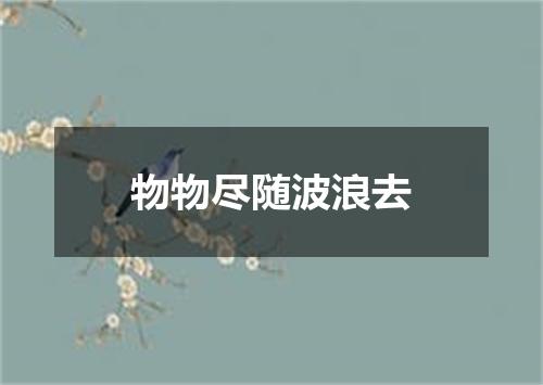 物物尽随波浪去