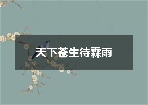 天下苍生待霖雨