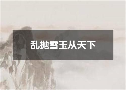 乱抛雪玉从天下