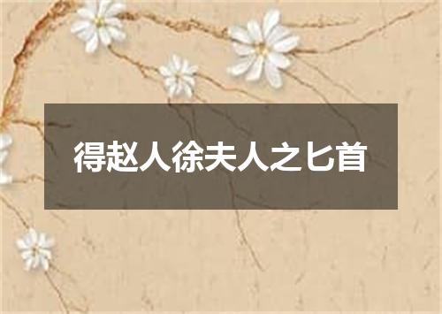 得赵人徐夫人之匕首