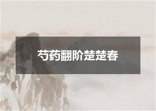 芍药翻阶楚楚春