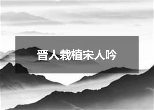 晋人栽植宋人吟
