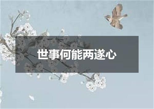 世事何能两遂心