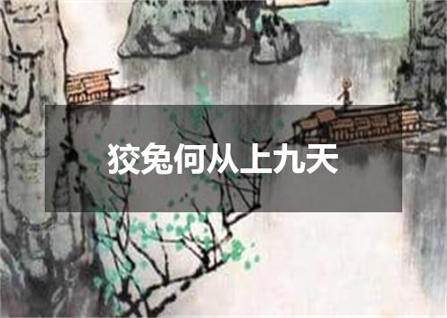 狡兔何从上九天