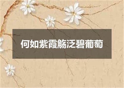 何如紫霞觞泛碧葡萄