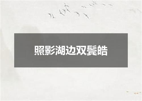 照影湖边双鬓皓