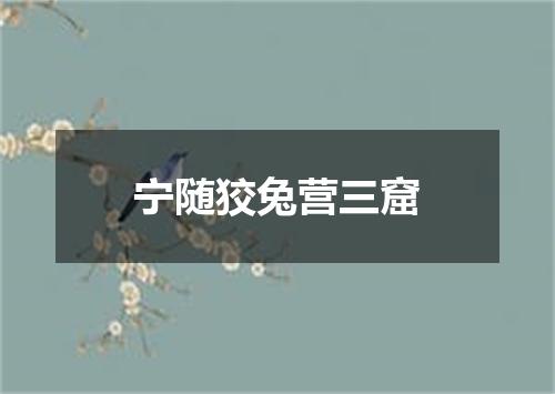 宁随狡兔营三窟