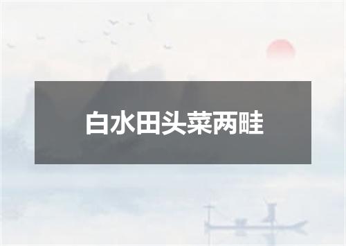 白水田头菜两畦