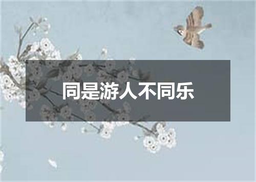 同是游人不同乐