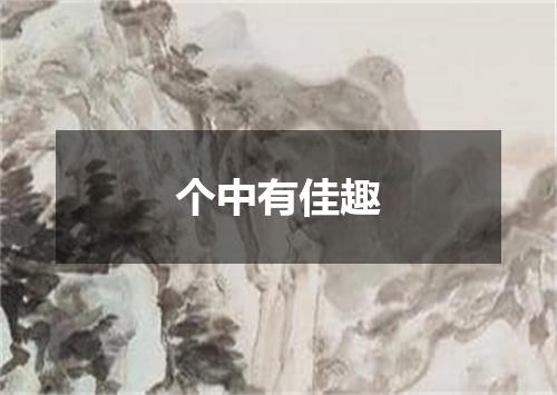 个中有佳趣