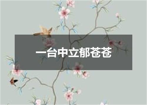 一台中立郁苍苍
