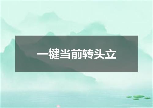 一犍当前转头立