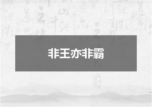 非王亦非霸