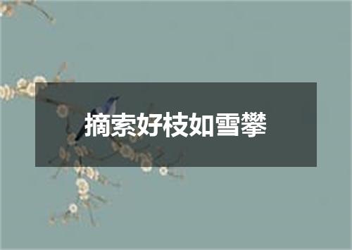 摘索好枝如雪攀