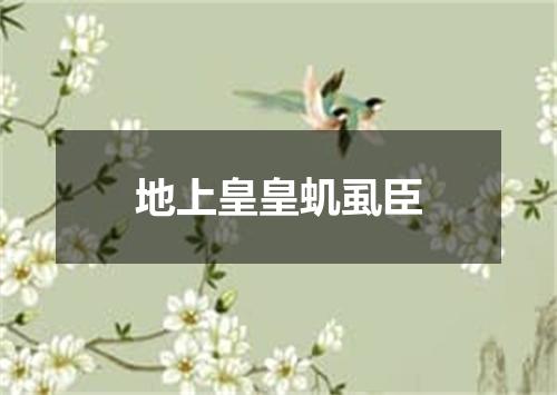 地上皇皇虮虱臣