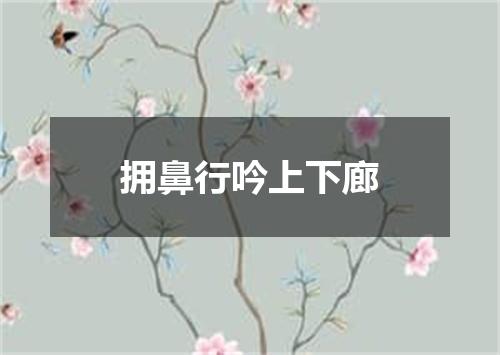 拥鼻行吟上下廊