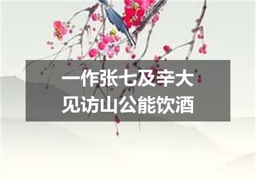 一作张七及辛大见访山公能饮酒