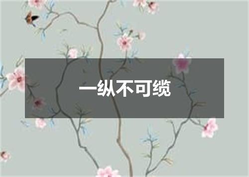 一纵不可缆
