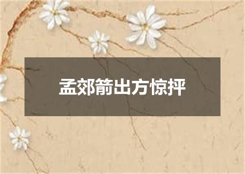 孟郊箭出方惊抨