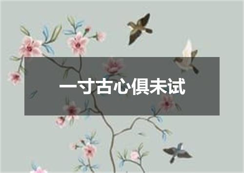 一寸古心俱未试