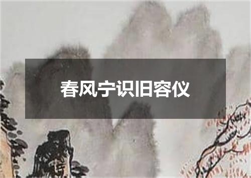 春风宁识旧容仪