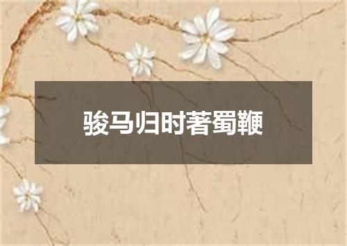 骏马归时著蜀鞭