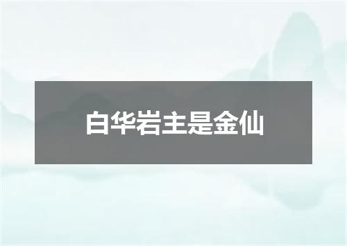 白华岩主是金仙