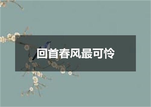 回首春风最可怜