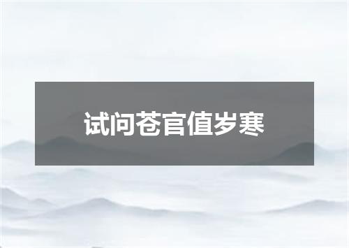 试问苍官值岁寒