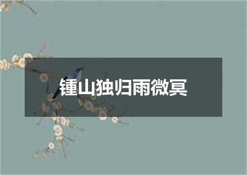 锺山独归雨微冥