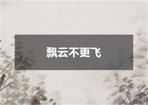 飘云不更飞
