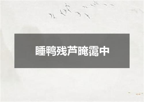 睡鸭残芦晻霭中