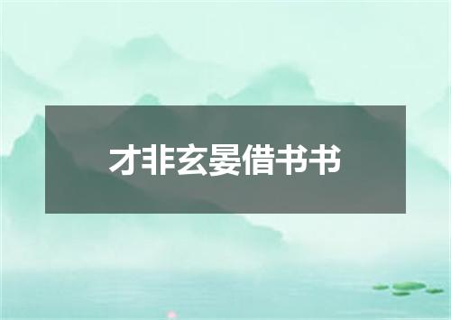 才非玄晏借书书