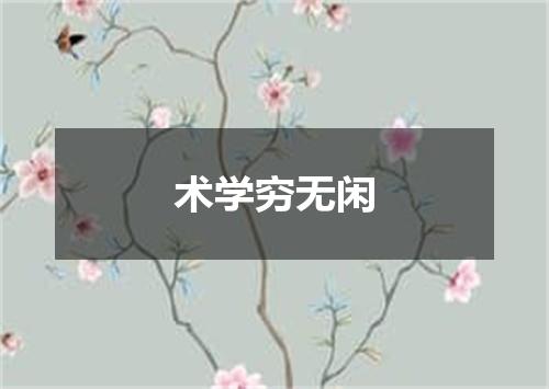 术学穷无闲