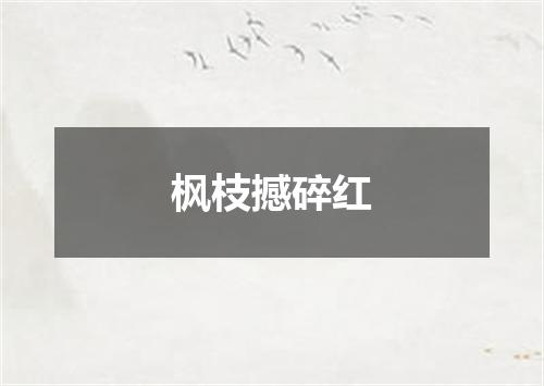 枫枝撼碎红