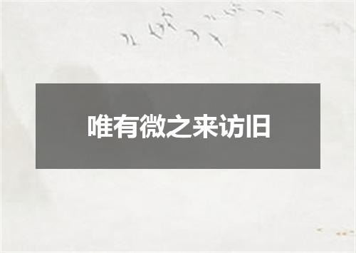 唯有微之来访旧
