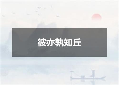 彼亦孰知丘