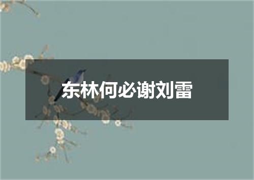 东林何必谢刘雷