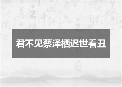 君不见蔡泽栖迟世看丑