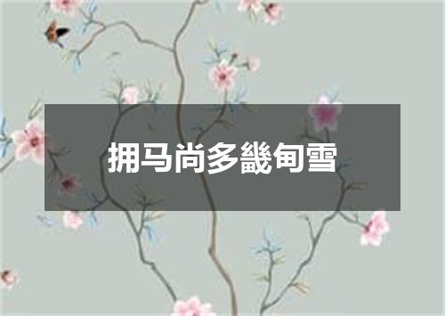 拥马尚多畿甸雪