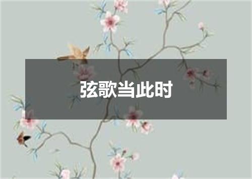 弦歌当此时