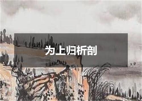 为上归析剖