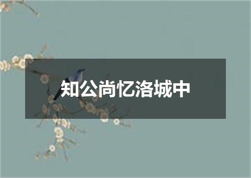 知公尚忆洛城中